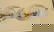 1016: Elizabeth II, silver piedfort £2 coins (2) "