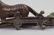 CROCODILE & DOG CAST IRON NUT CRACKERS & FROG DOOR STOP - 4