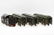 Lionel Standard Gauge Passenger Set - 3