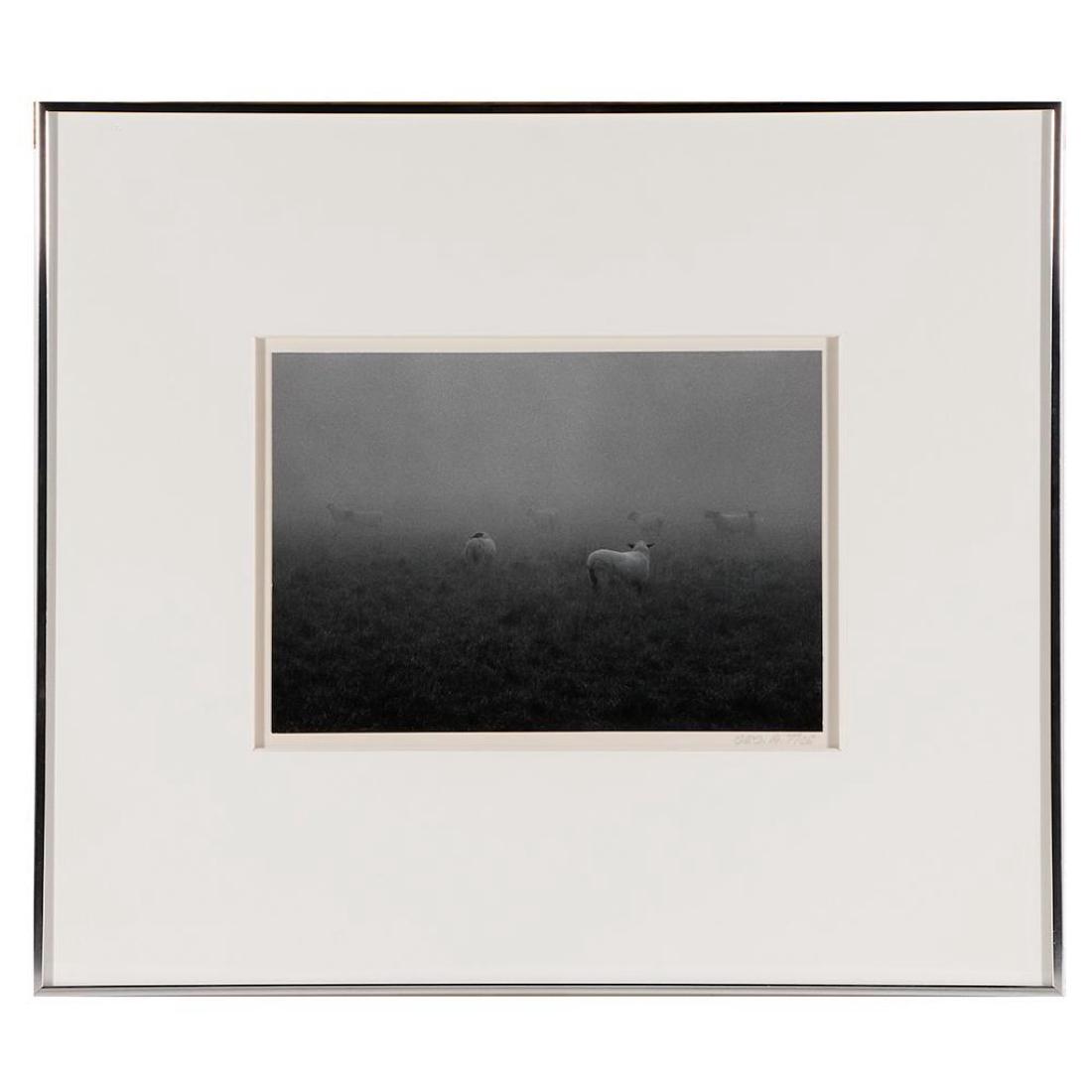 GEORGE ANDREW TICE (1938): Artist: George A. Tice Signature: Lower right margin Artwork: 6 1/2 x 9 /2 inches Frame: 15 1/2 x 17 1/2 inches Medium: Photography, gelatin silver print