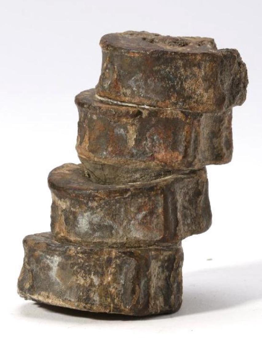 Dinosaur Vertebrae (1 of 3)