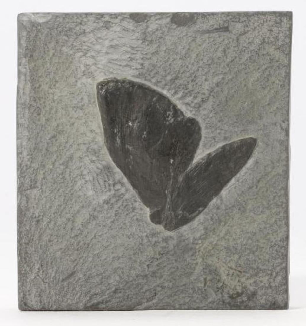 Fossil Flower (1 of 3)