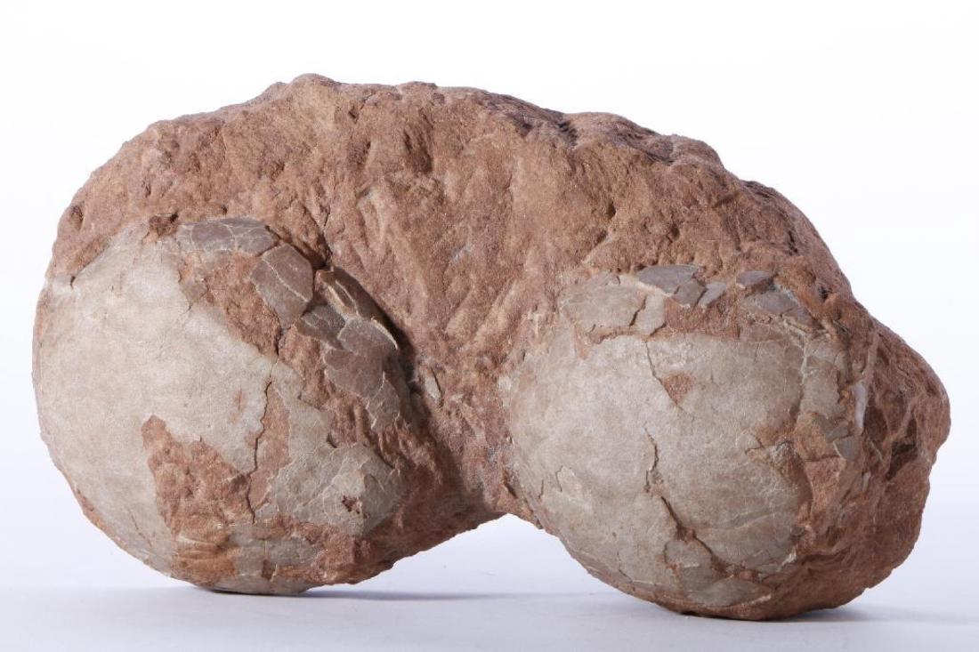 Dinosaur Egg Fossil (1 of 6)