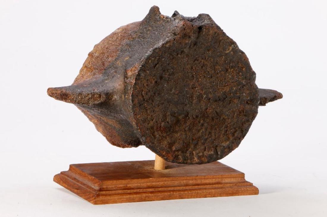 Dinosaur Vertebra (1 of 5)