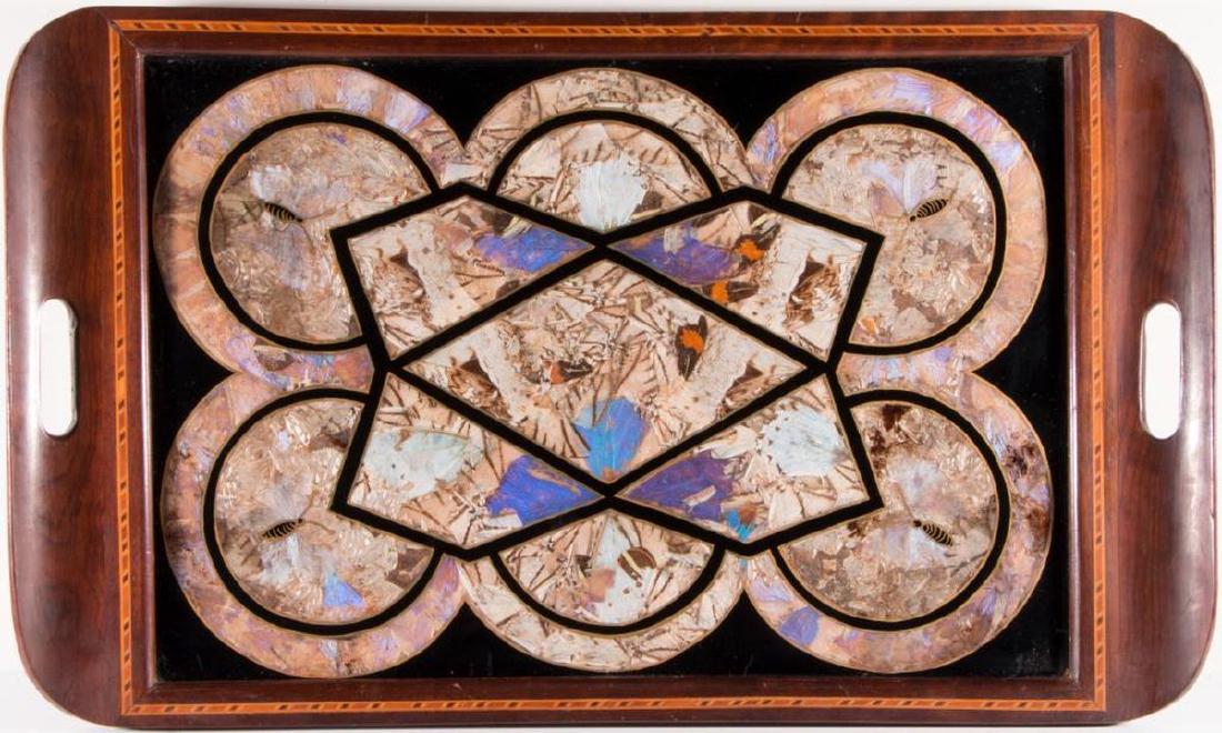 A butterfly wing tray. (1 of 3)