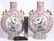 Pair of Enameld Moon Flask Vases. Chinese. - 9