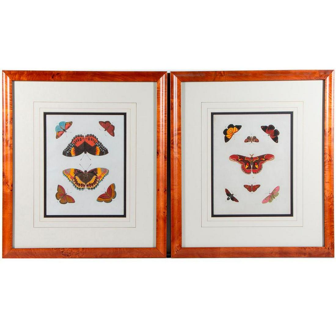 A pair of 19th century colored prints of butterflies. (1 of 4)