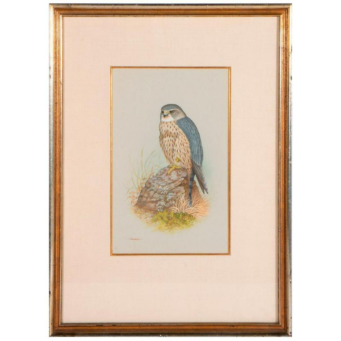 Johnathan Halbert (active).: Artist: Jonathan Halbert (active). Title: Perched falcon. Signature: Lower left. Size artwork: 10 1/2 x 6 1/2 inches. Frame: 19 x 14 inches. Condition: Good. Created: 1980. Medium: Watercolor on paper