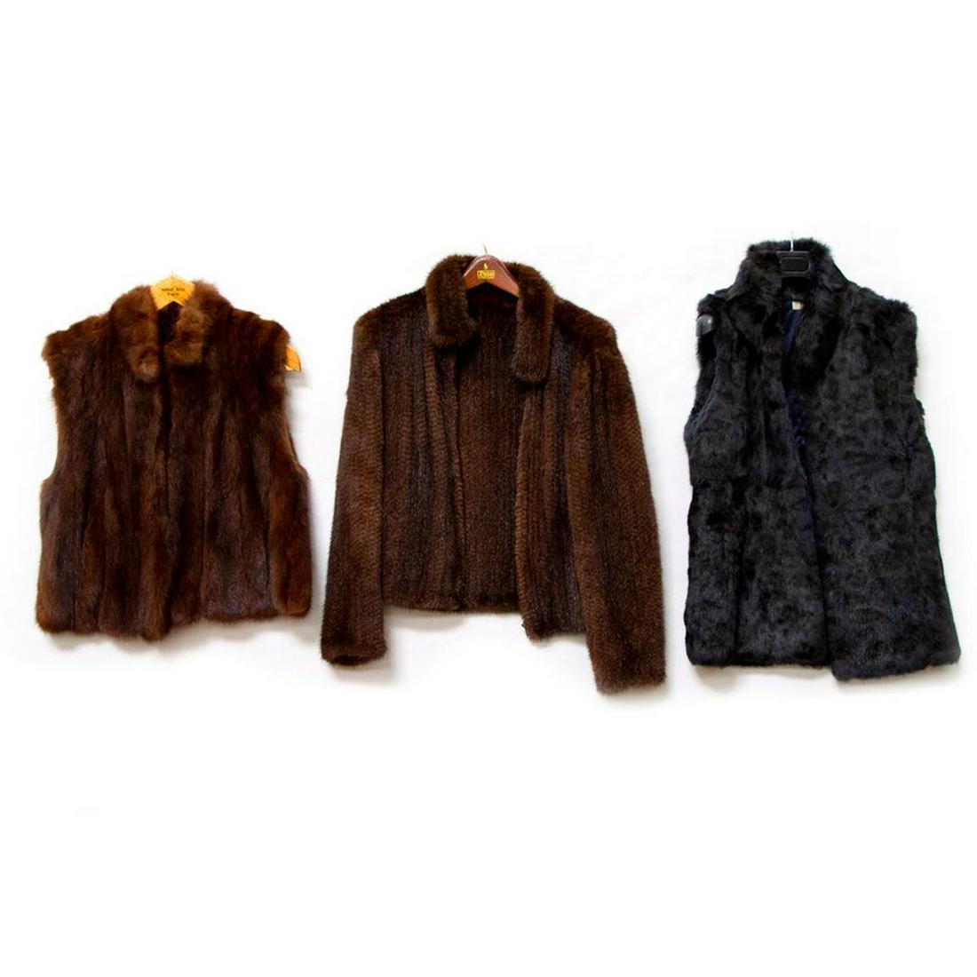Three Brown Ladies Furs (1 of 8)