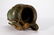 Beaux Arts bronze pitcher. - 7