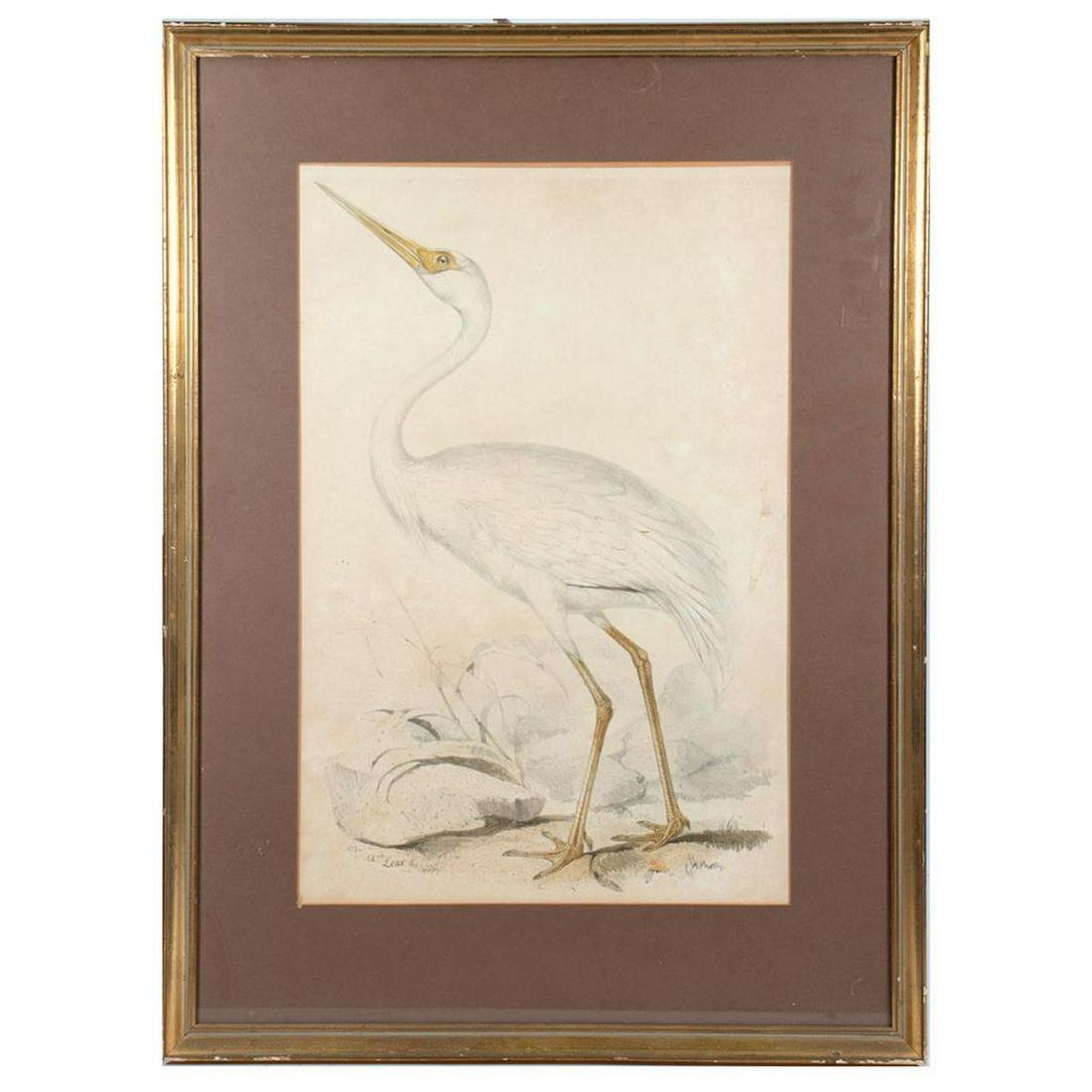Edward Lear (British, 1812-1888): Edward Lear (British, 1812-1888) Title: White Crane; Untitled (group of two) Medium: Each color lithograph Signed: First lower left and dated '1837' in plate second signed lower right in plate Size: E