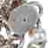 item-117423566=4