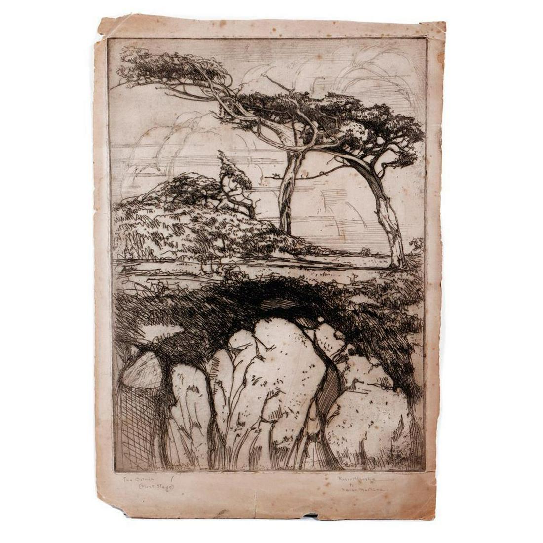 Robert Harshe (1879-1938).: Artist: Robert Harshe (1878-1938). Title/Description: "The Ostrich" (cypress tree). Signature: Signed and dedicated to Xavier Martinez, lower right. Date Created: c. 1910s-1930s. Medium/Ground: Etchin