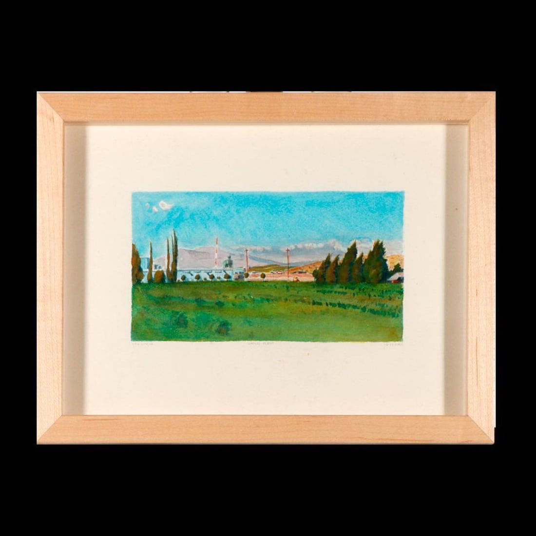 Julie Bozzi (1943- ) (1 of 6)