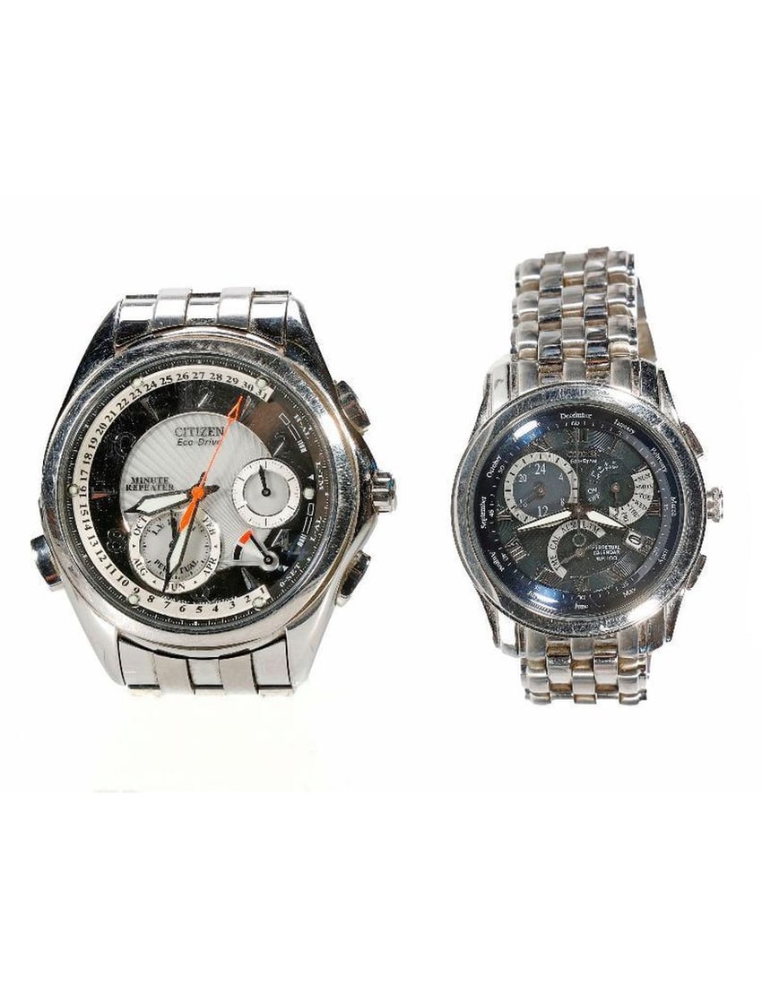 Two Citizen Eco-Drive Watches (1 of 4)