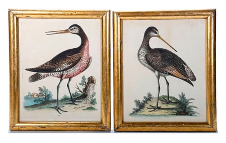 Pair of George Edwards Hand-Colored Bird Plates. Property of Alton F. Irby III