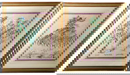 Basilius Besler (1561-1629), Two Botanical Plates. Property of Alton F. Irby III: BESLER, BASILIUS (1561-1629). Two original hand-colored engraved botanical plates from Hortus Eystettensis... (Eichstatt, 1613 or later). Depicting "Helleboraster maximus" and "Spatula foetida." Each