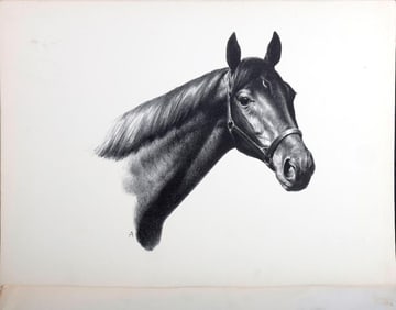 C. W. Anderson Horse Prints (20)