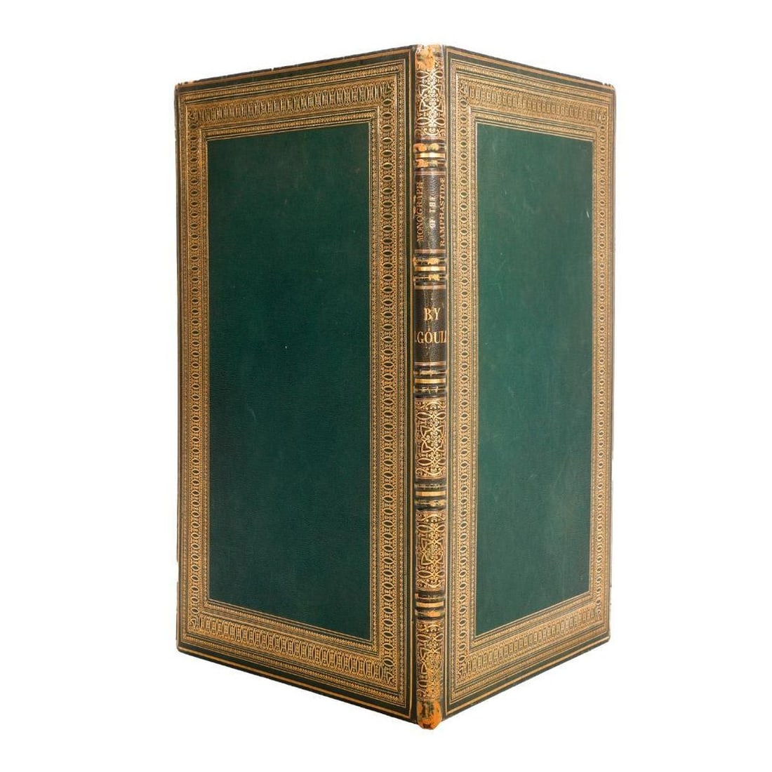 Folio Gilt Morocco Boards/Spine Only, for J. Gould's Ramphastidae: FOLIO BOARDS/SPINE: An empty full gilt green morroco large folio cover (22" x 15 3/4"), the spine stamped for John Gould's Monograph of Ramphastidae, or Family of Toucans. Pieces contiguous/connected;