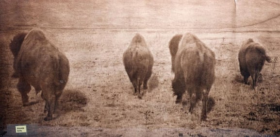 After L. A. Huffman, Two Western Photographs
