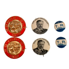 Theodore Roosevelt Campaign Pins/Buttons (15)