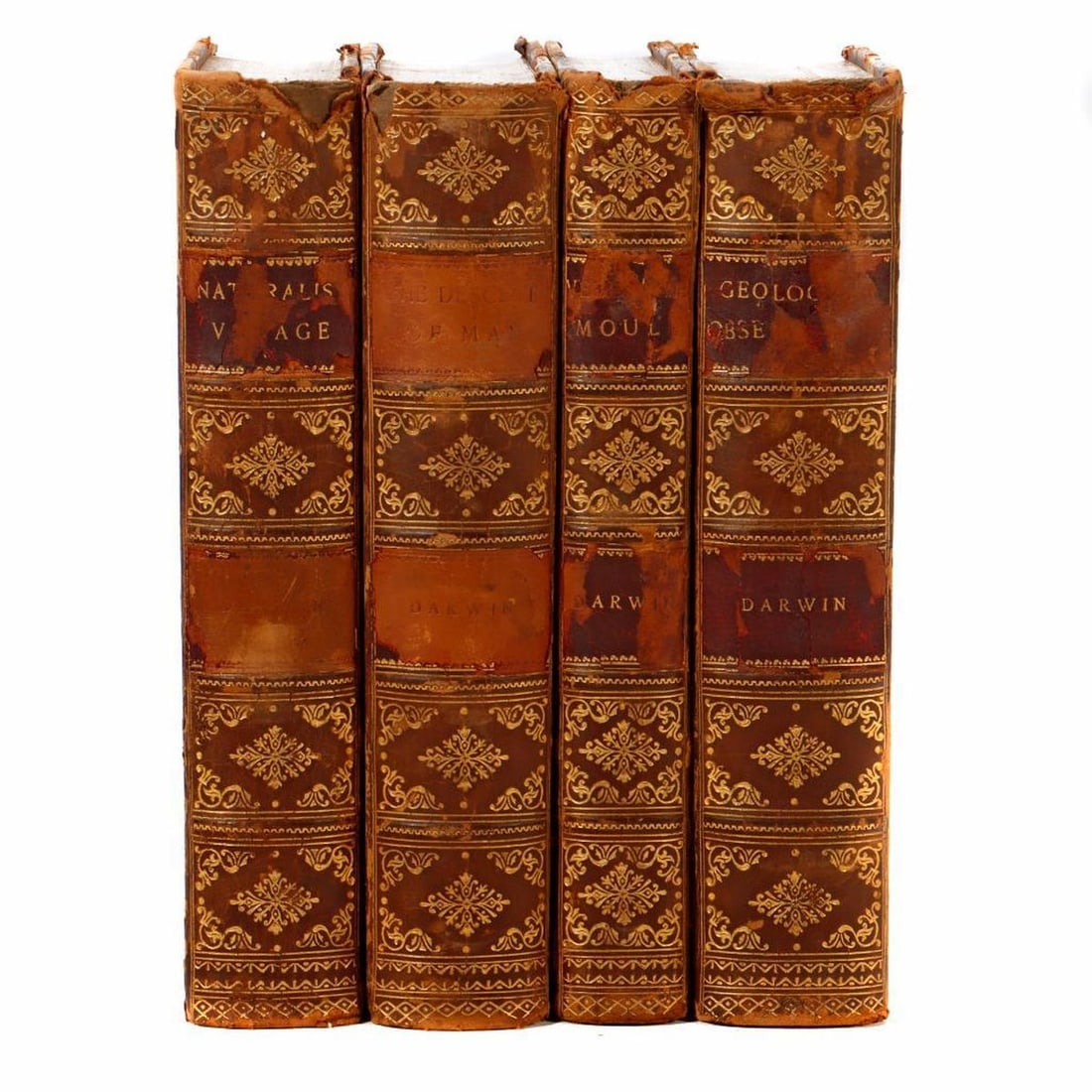 Charles Darwin, Four Volumes, 1900-1909: Four uniformly bound works. New York and London: D. Appleton and Company, 1900-1909. 12mo (7 3/4in.). Half calf and marbled paper; gilt and red leather labels to spines; marbled endpapers, top edges g