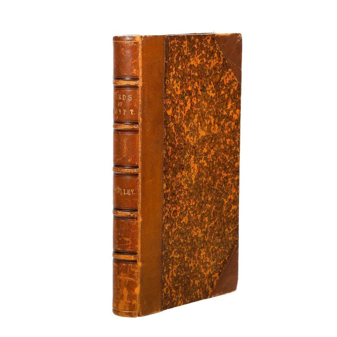 Handbook of the Birds of Egypt, 1872 (1 of 6)