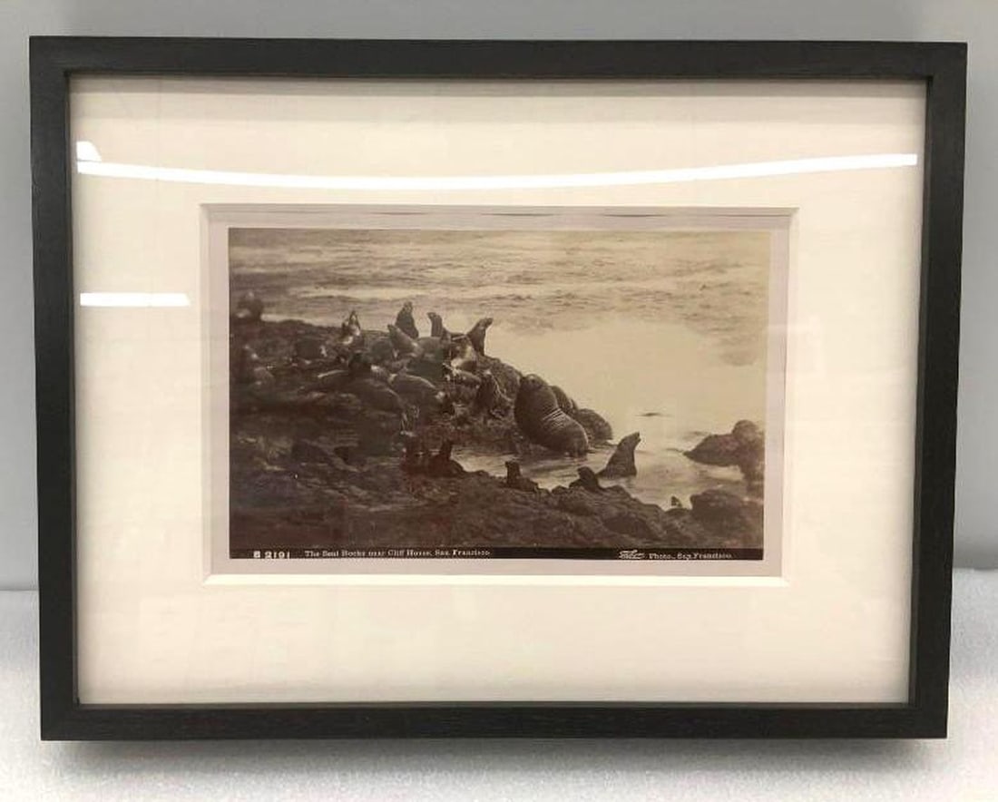 San Francisco Black and White Photograph of The Seal Rocks near Cliff House (1 of 2)