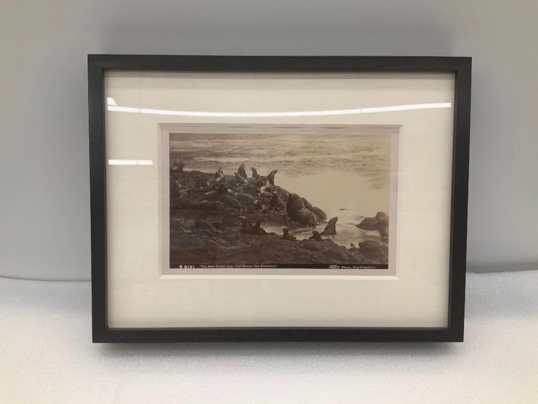 San Francisco Black and White Photograph of The Seal Rocks near Cliff House - 2
