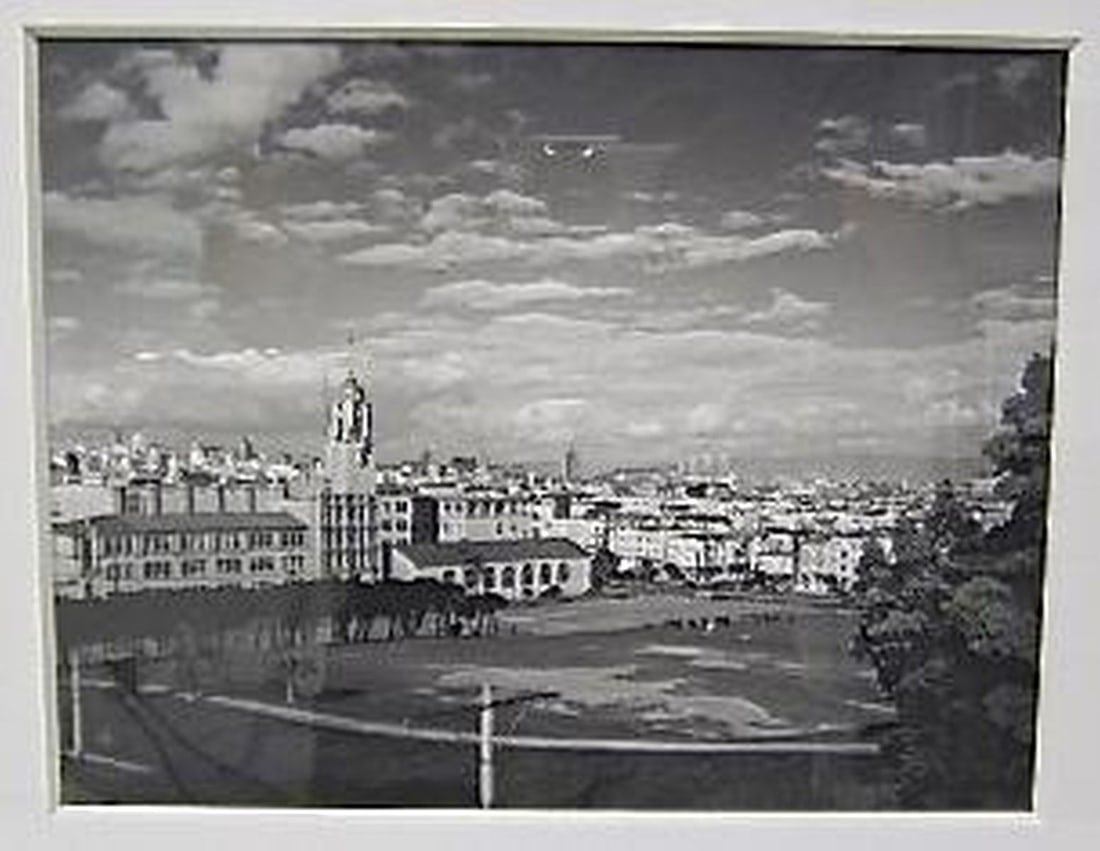 San Francisco Black & White Photograph of Mission Dolores Park - 2