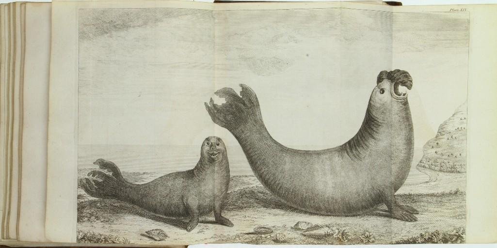 ANSON. A Voyage Round the World. 1748. (1 of 4)