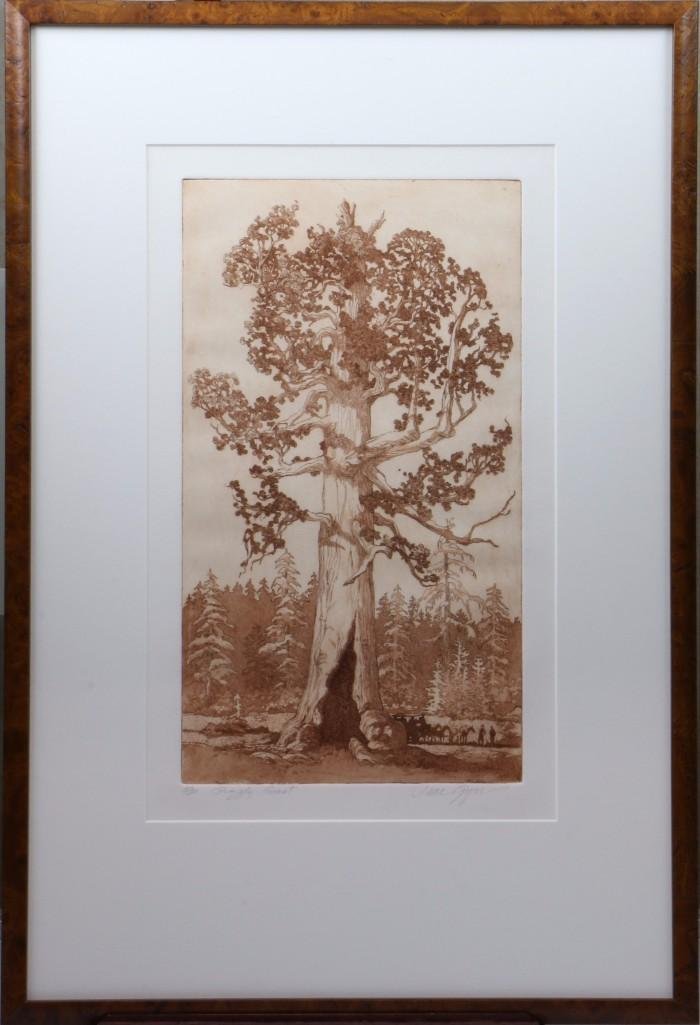 Jane Elizabeth Lingerfield Gyer (1925 - 2004): Artist: Jane Elizabeth Lingerfield Gyer (1925 - 2004) Signature: Signed low right in pencil