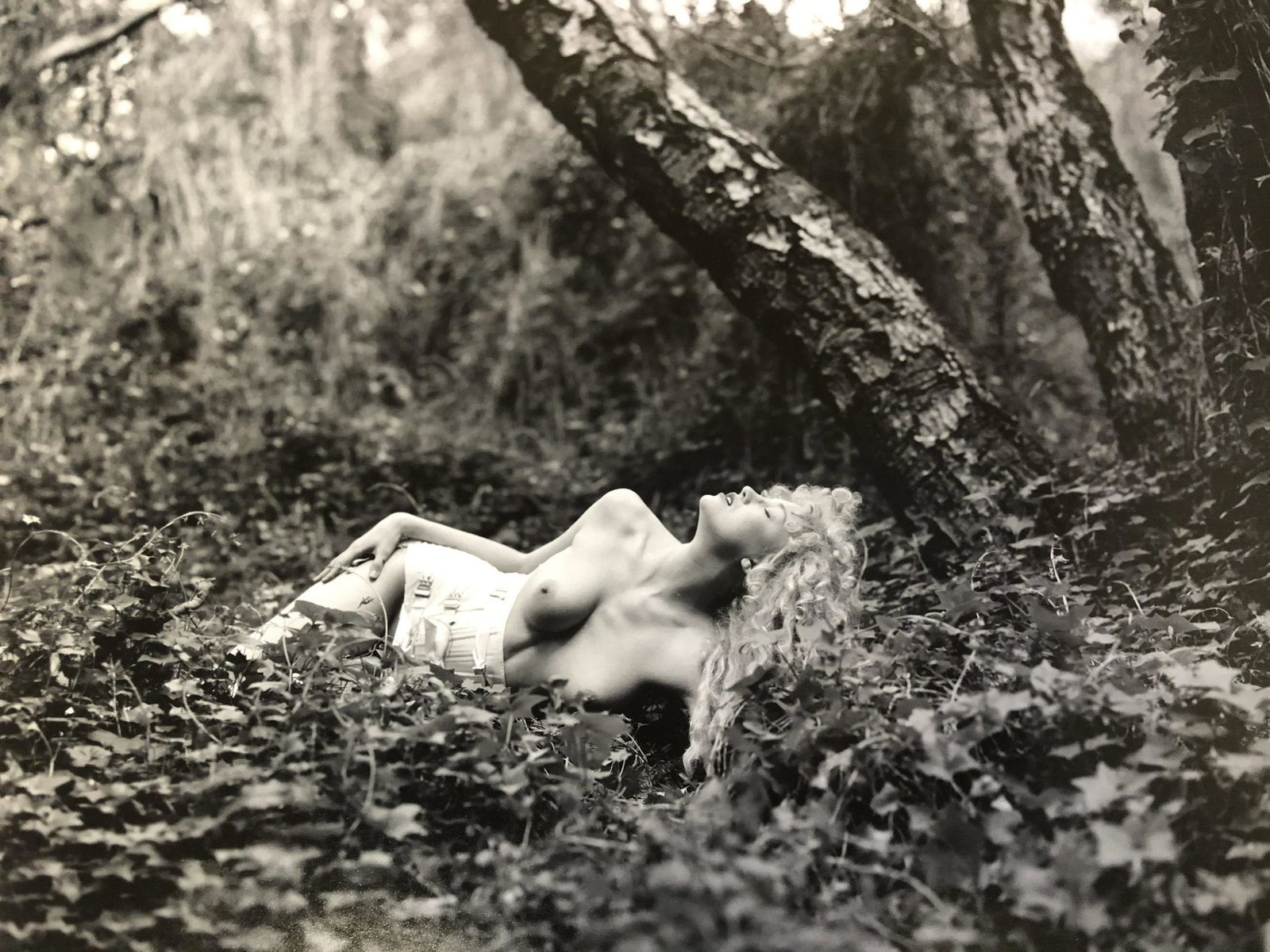 Nude Woman in the forrest: Nude Women in the Forest - vintage Site: 8 1/2 x 10 1/2 Photo: 10 5/8 x 14"