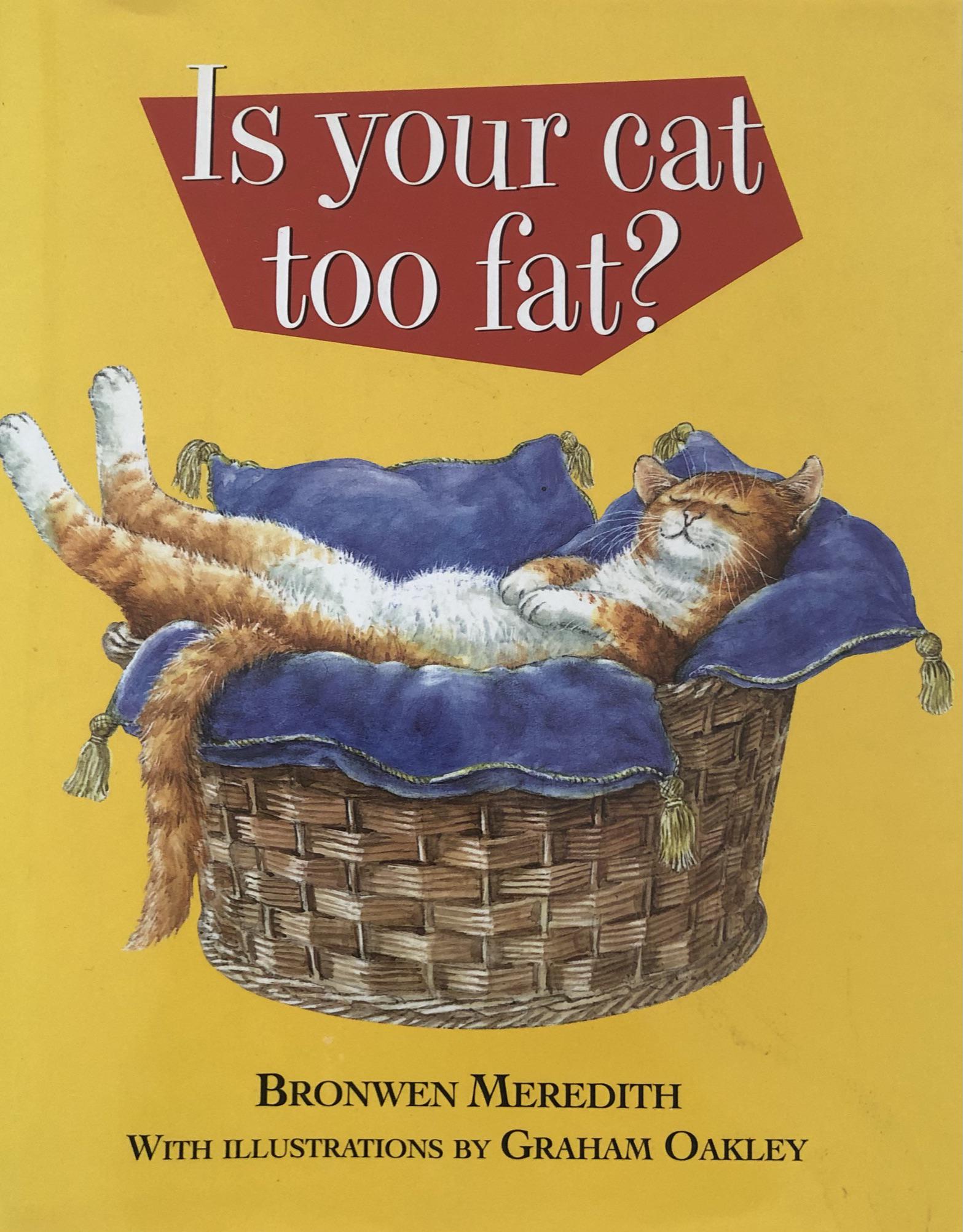 Is Your Cat Too Fat: Is Your Cat Too Fat - Bronwen Meredith 119 pages hardback