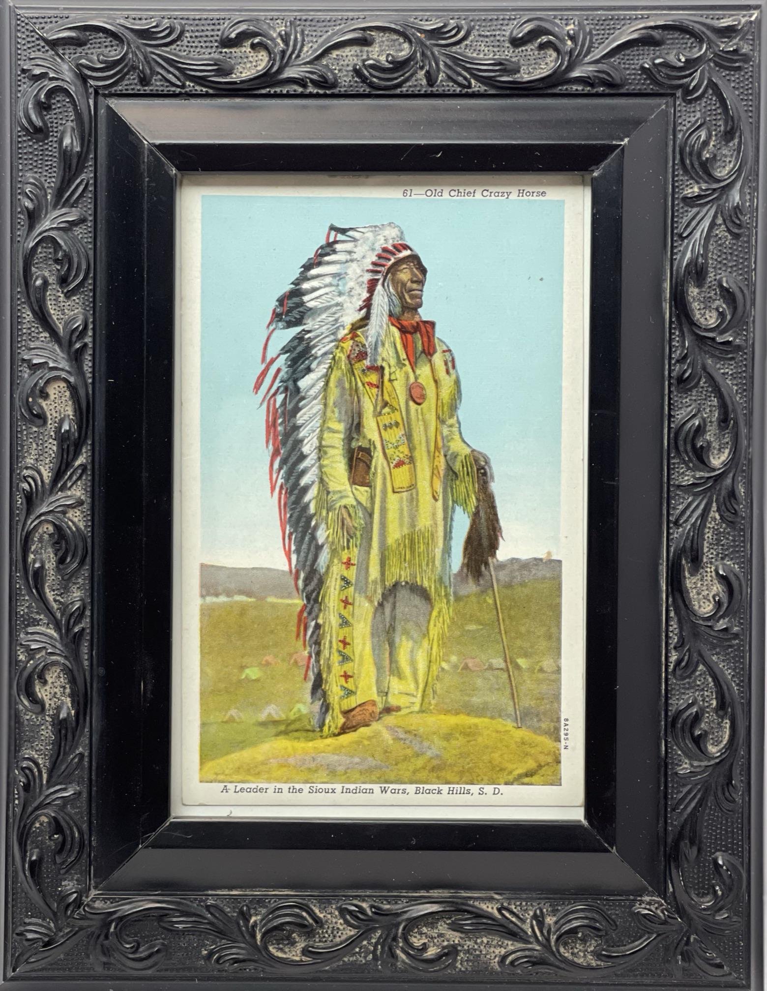 Old Chief Crazy Horse (1 of 1)