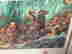 item-102504130=4