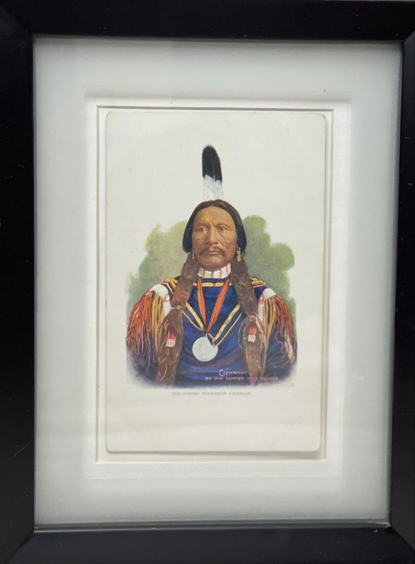 Chief Buckskin Charlie (1 of 1)