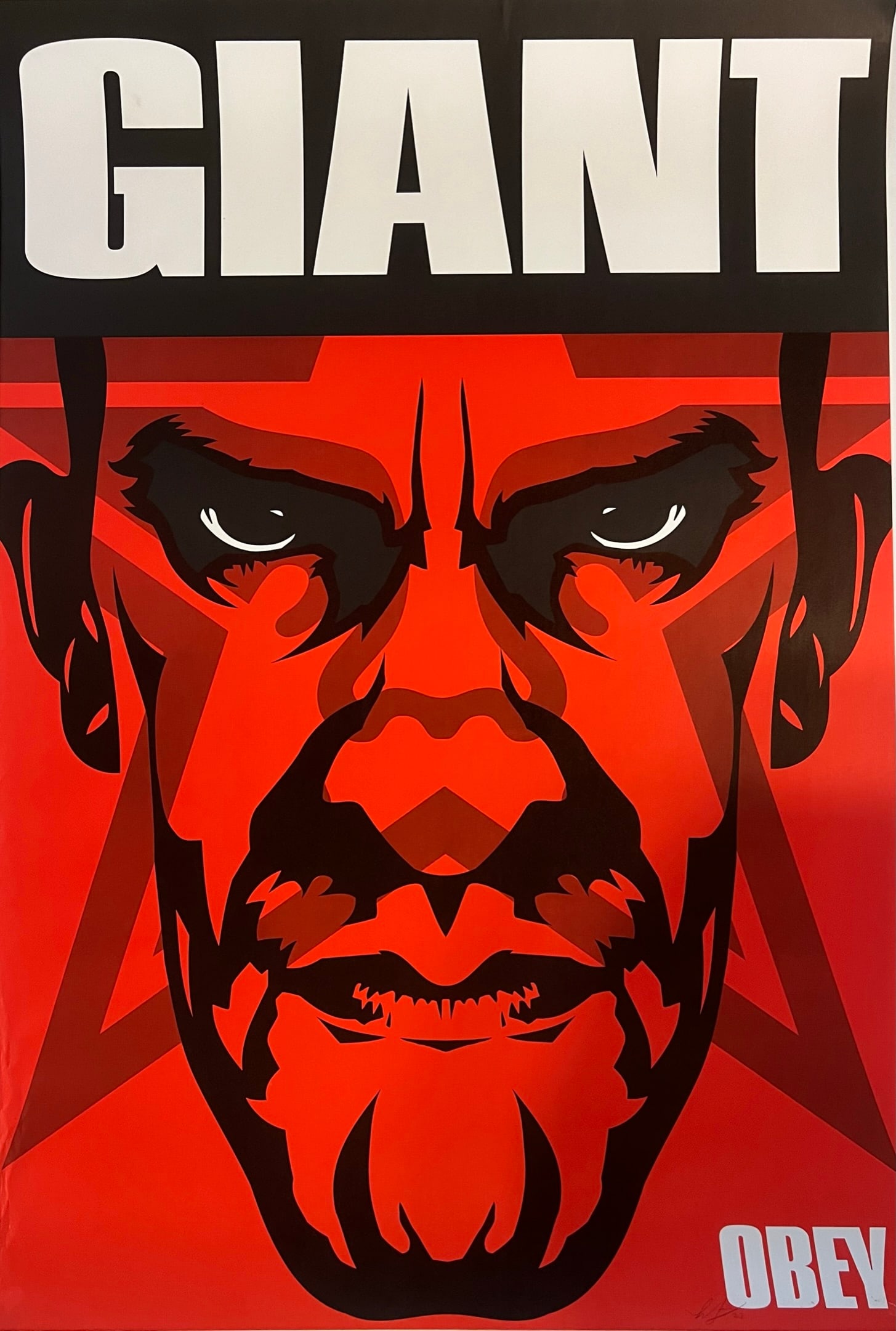 Shepard Fairey - Rare Print (1 of 5)