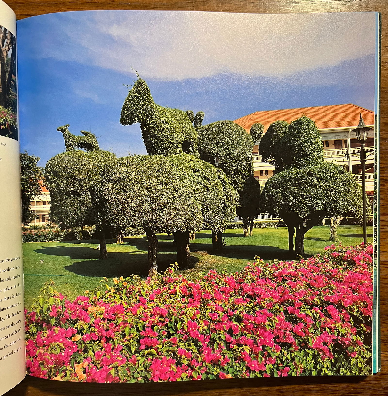 Thai Garden Style - 5