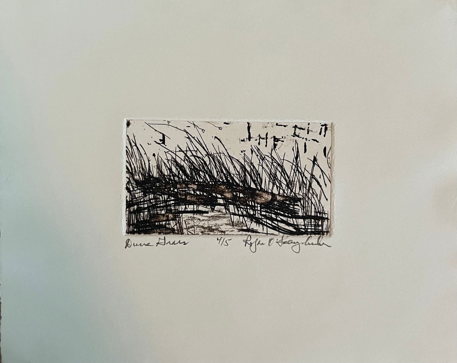 Roger O'leary Archer (1947-2021) Etching signed/ dated: Roger O' Leary Archer - Title : Dune Grass Edition: 4/15 Etching Signed lower right Dimension: 9 x 11" Beautiful colors Archer was a master of color and printing techniques. He