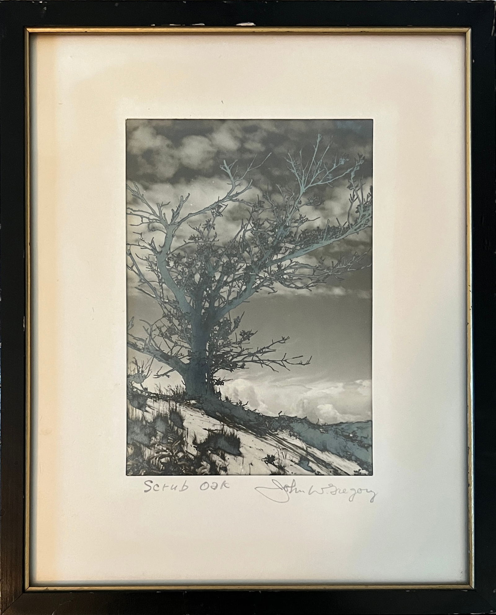 John W Gregory (1903-1992)Gelatin Silver Print (1 of 3)