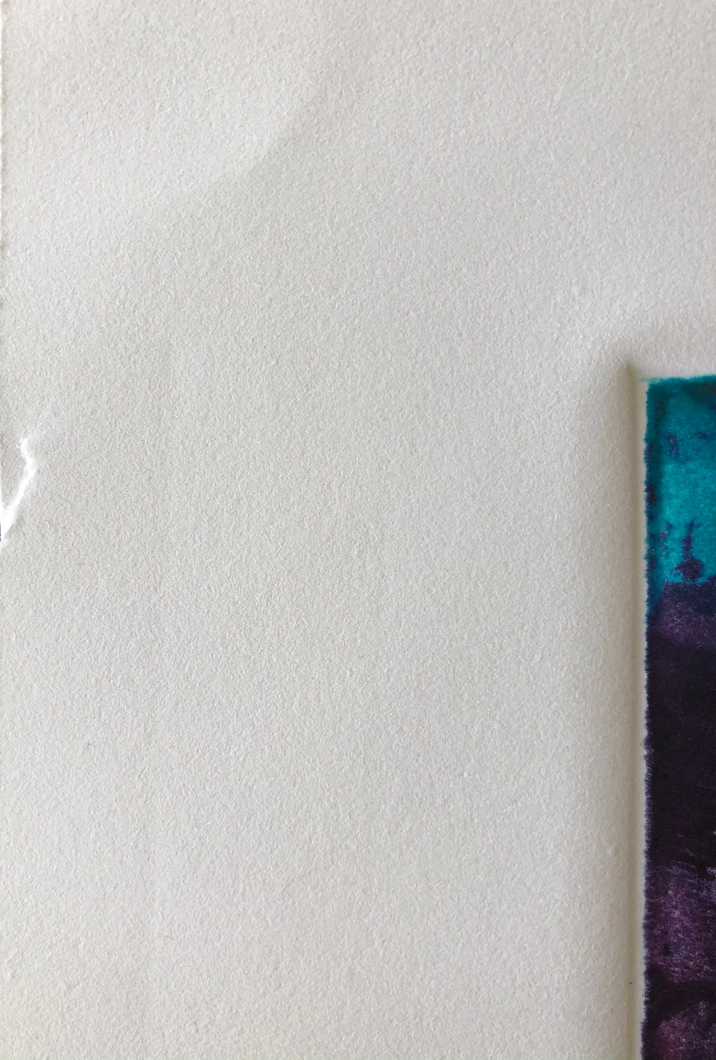 Ellen Kieffer- monoprint - 4