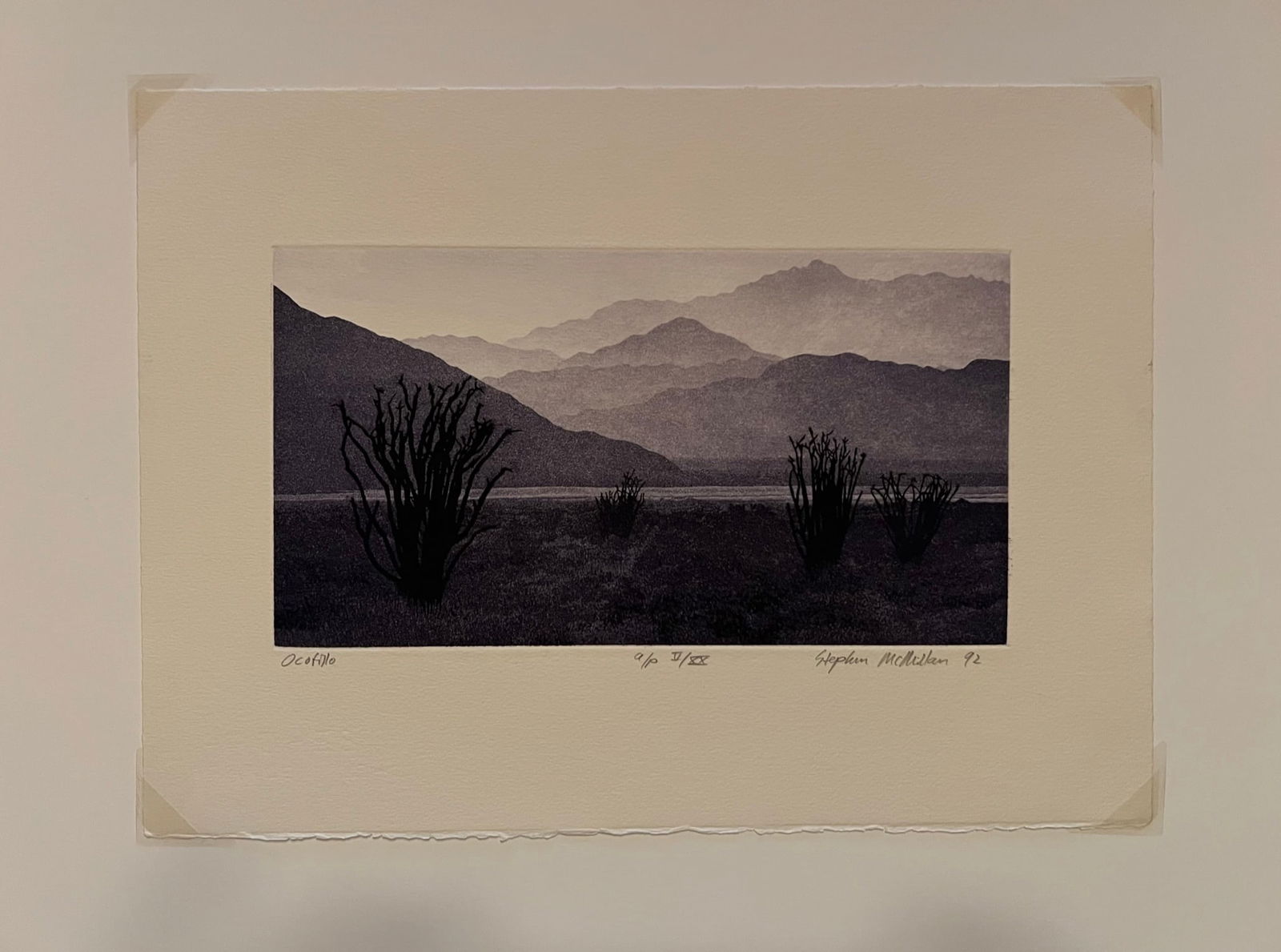 Stephan McMillan -Ocotillo- etching (1 of 5)