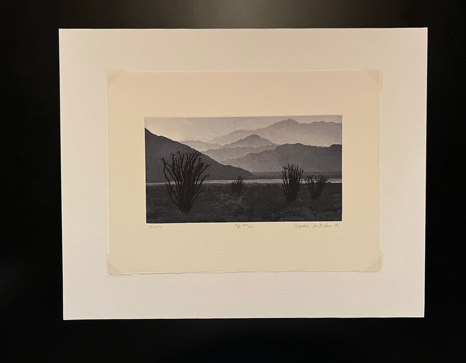 Stephan McMillan -Aquatint Etching (1 of 5)