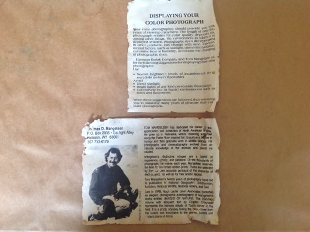 Thomas D. Mangelsen - "Fire and Ice" - 4