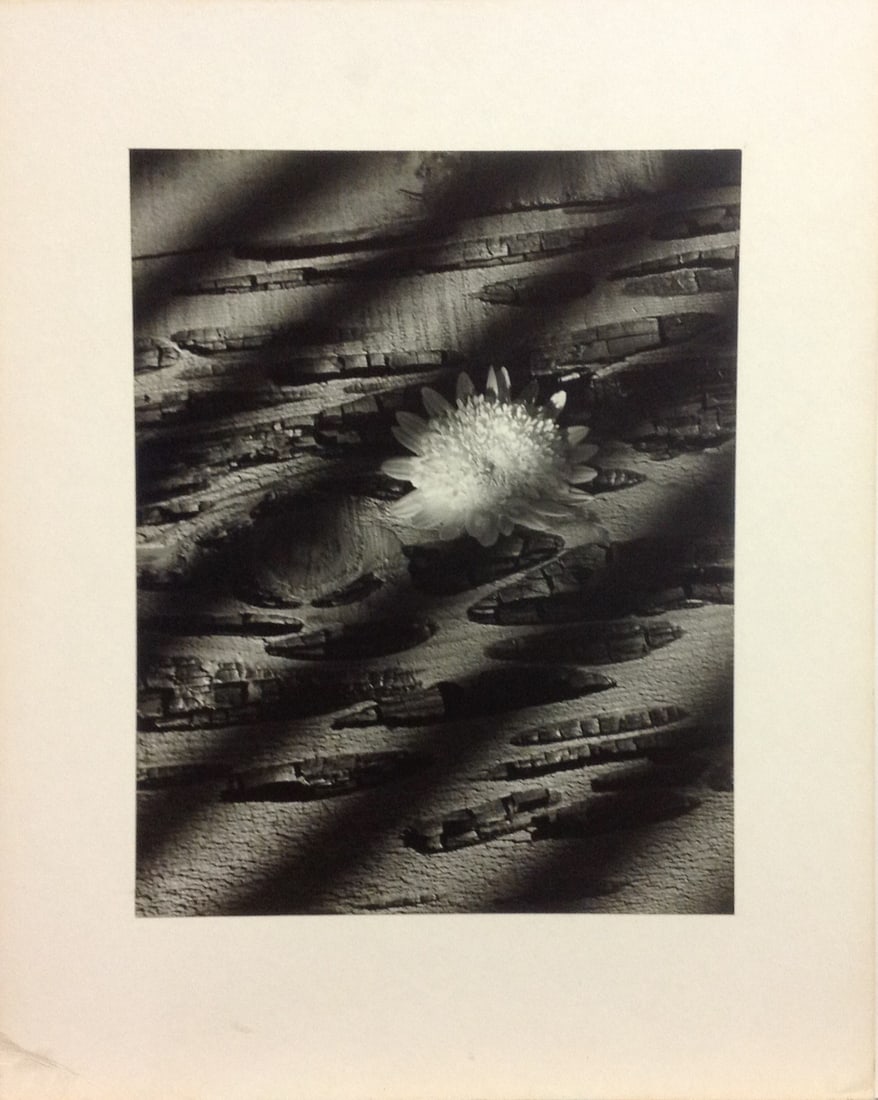 Paul Delmar - Soft and Rough: Paul Delmar vintage 1970's- "Soft and Rough" Title verso. Dimensions: image 10 7/8" h x 13 7/8" Board: 20"h x16"