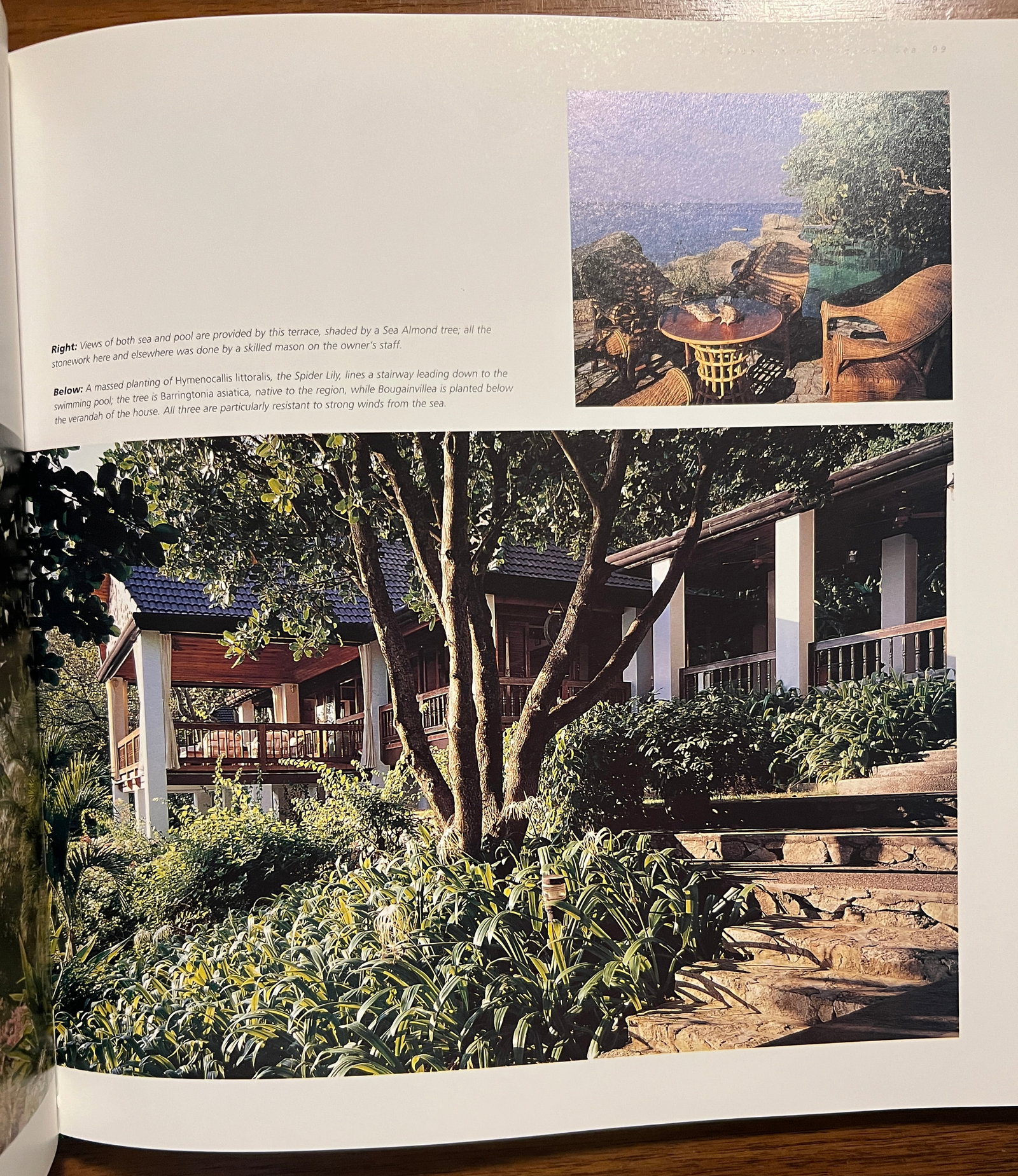 Thai Garden Style - 6