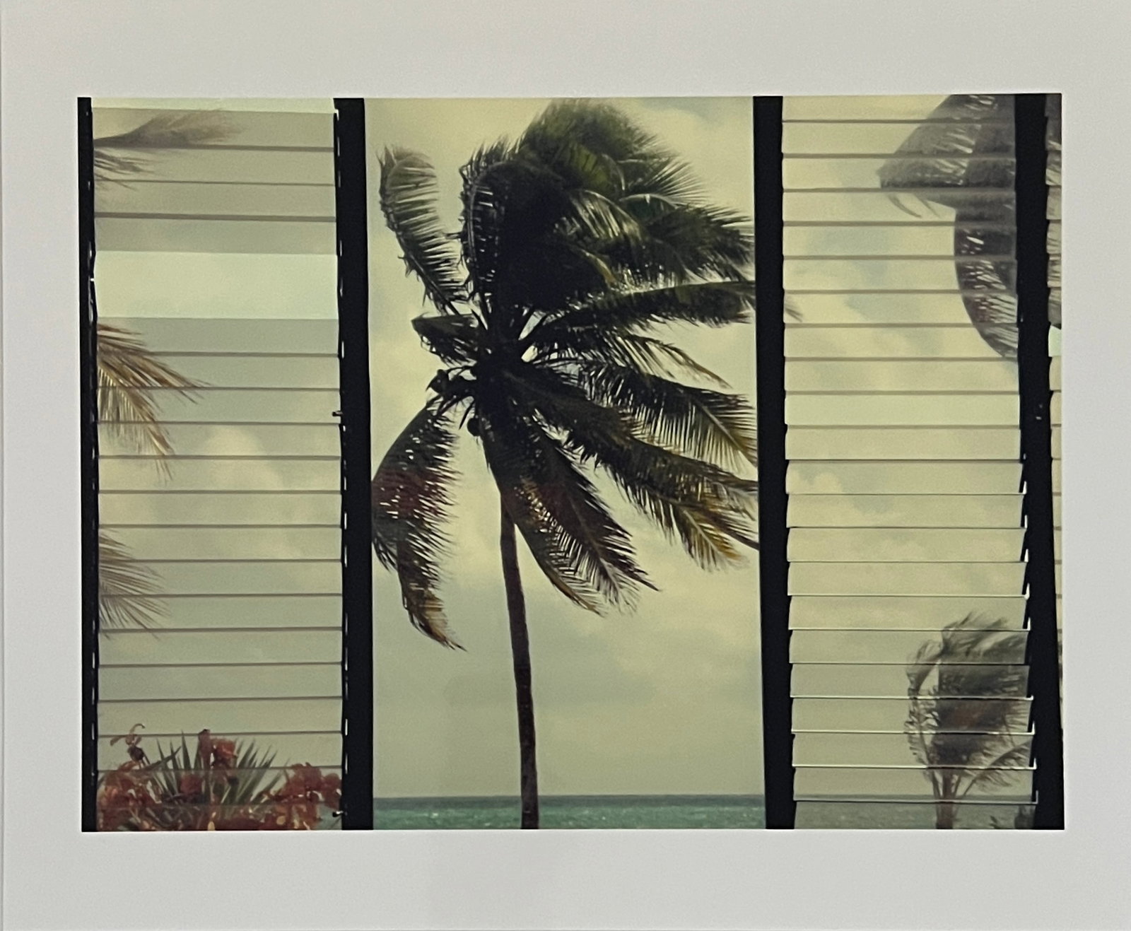 Rene & Radka - Photograph - Palm Trees by the Ocean: Rena & Radka (Rene Hallen - Germany / Radka Leitmeritz -Czech Rep) Limited Edition proof. Palm Trees by The Ocean. Exhibitions in Paris, Slovakia, Italy, NY. 2010 National Museum of Photography in