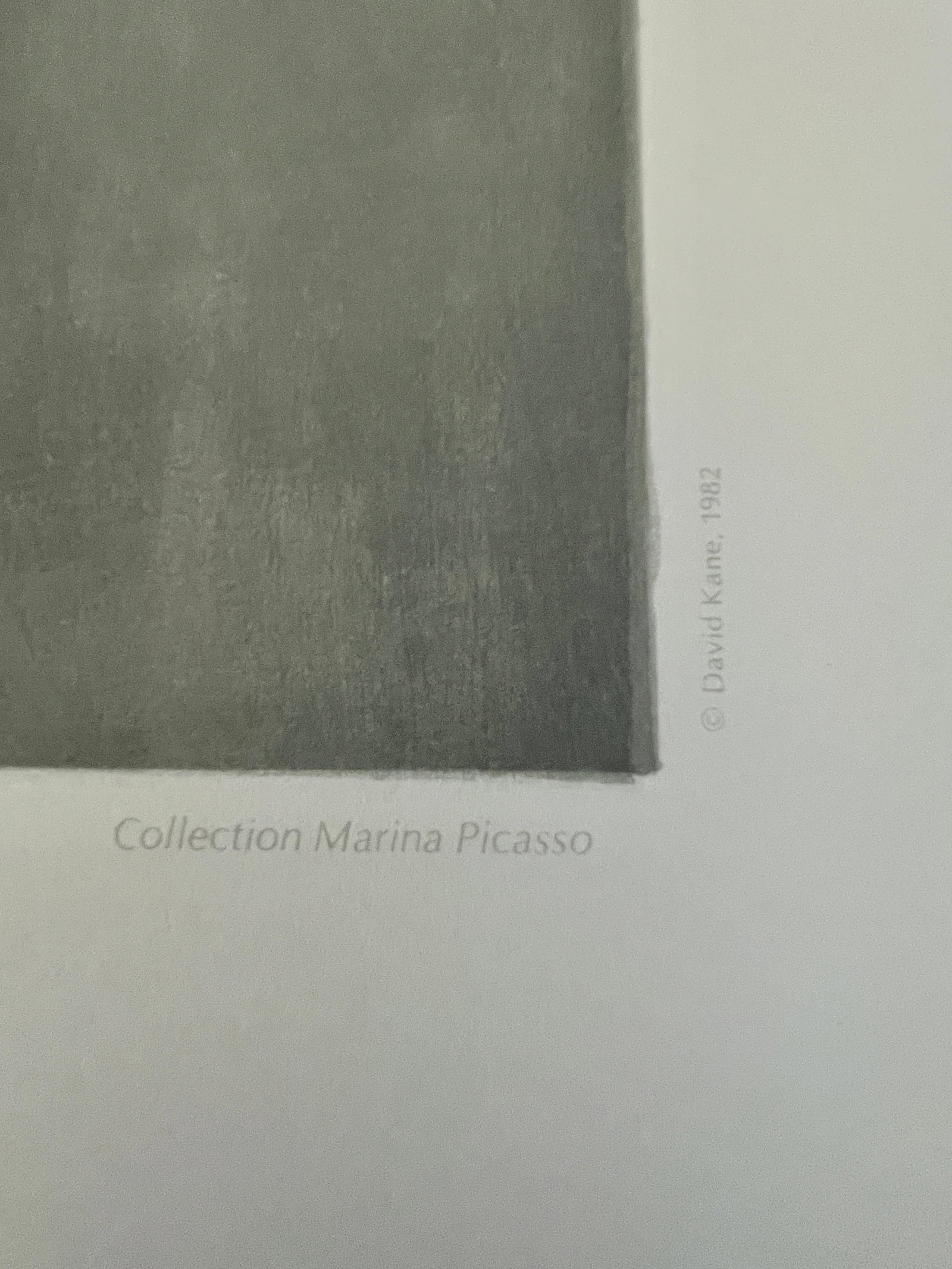 Pablo Picasso -lithograph - 3