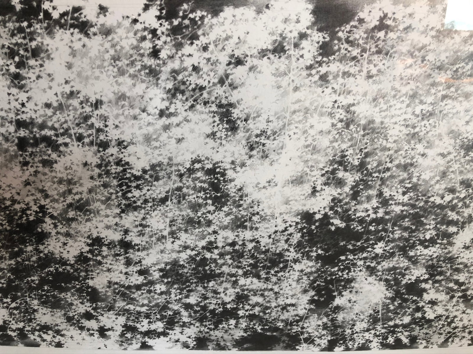 Vitek Marcinkiewicz -Graphite on paper -2006 Signed - 2